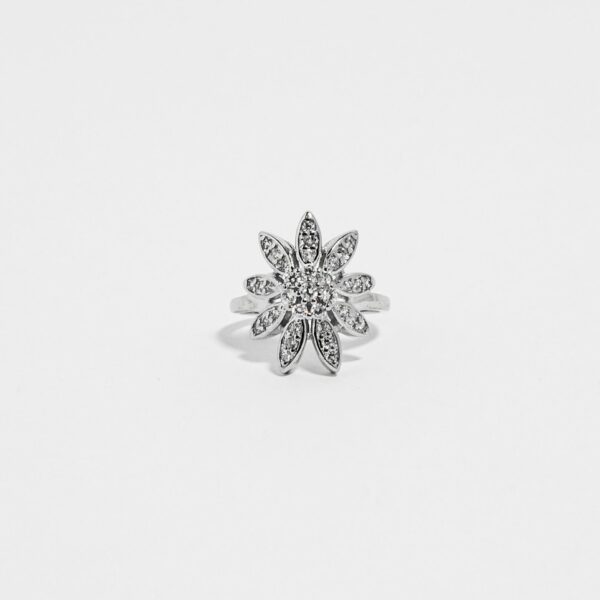 luxeton silver ring-DSC04247