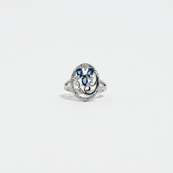 luxeton siilver ring-DSC04278