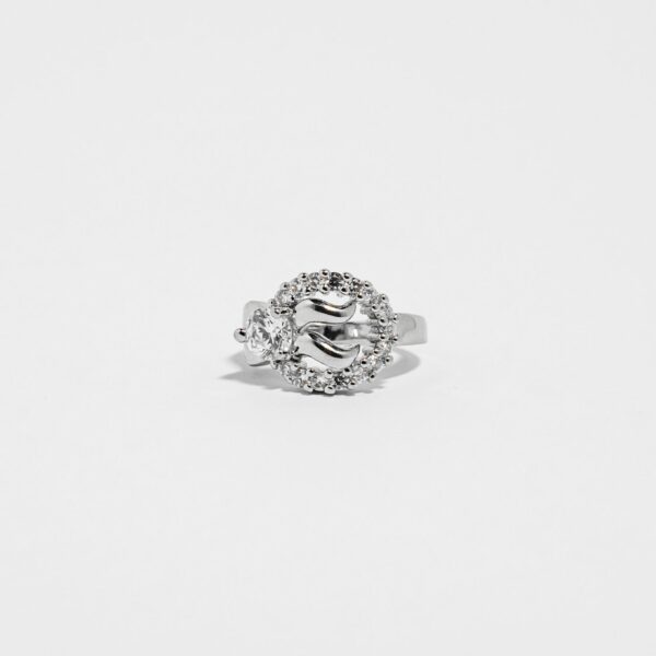 luxeton silver ring-DSC04477
