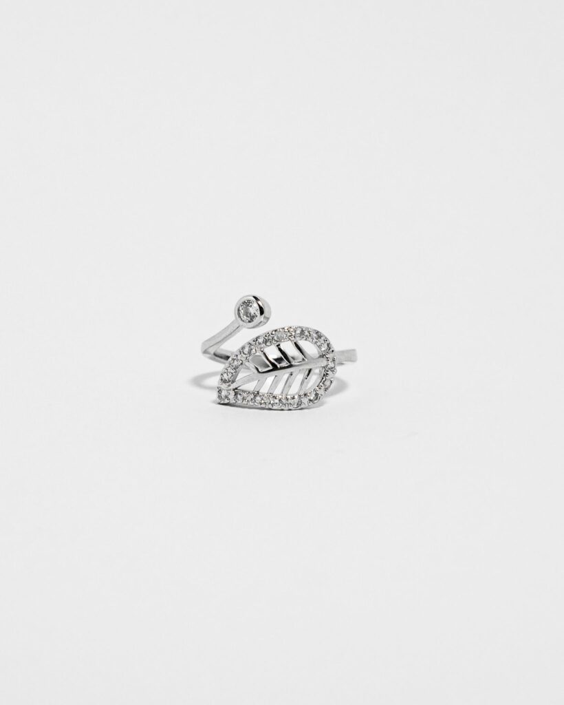 luexton silver ring-DSC04511