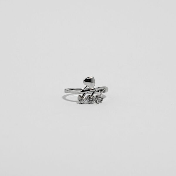 luxeton silver ring-DSC04556